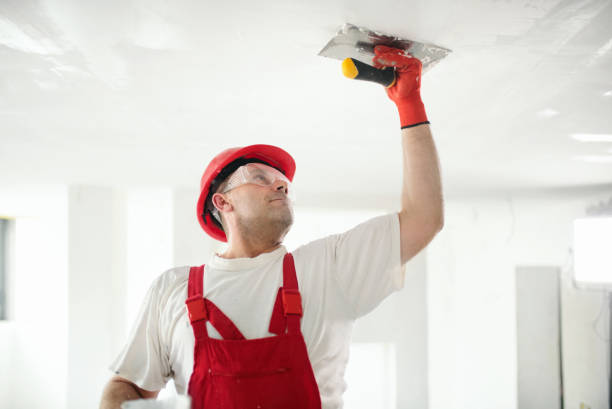 Best Post-Remediation Verification Testing  in Ashton, ID