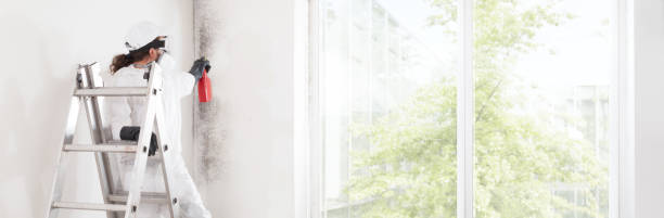 Best HVAC Mold Inspection and Cleaning  in Ashton, ID