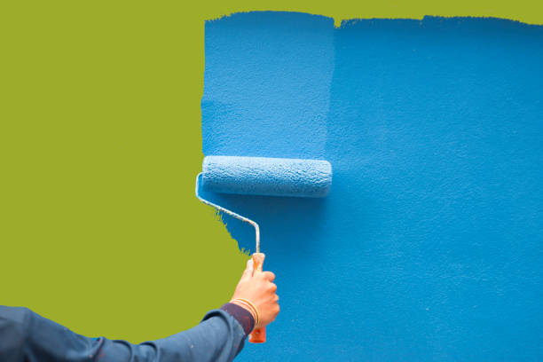 Trusted Ashton, ID Mold Removal Experts